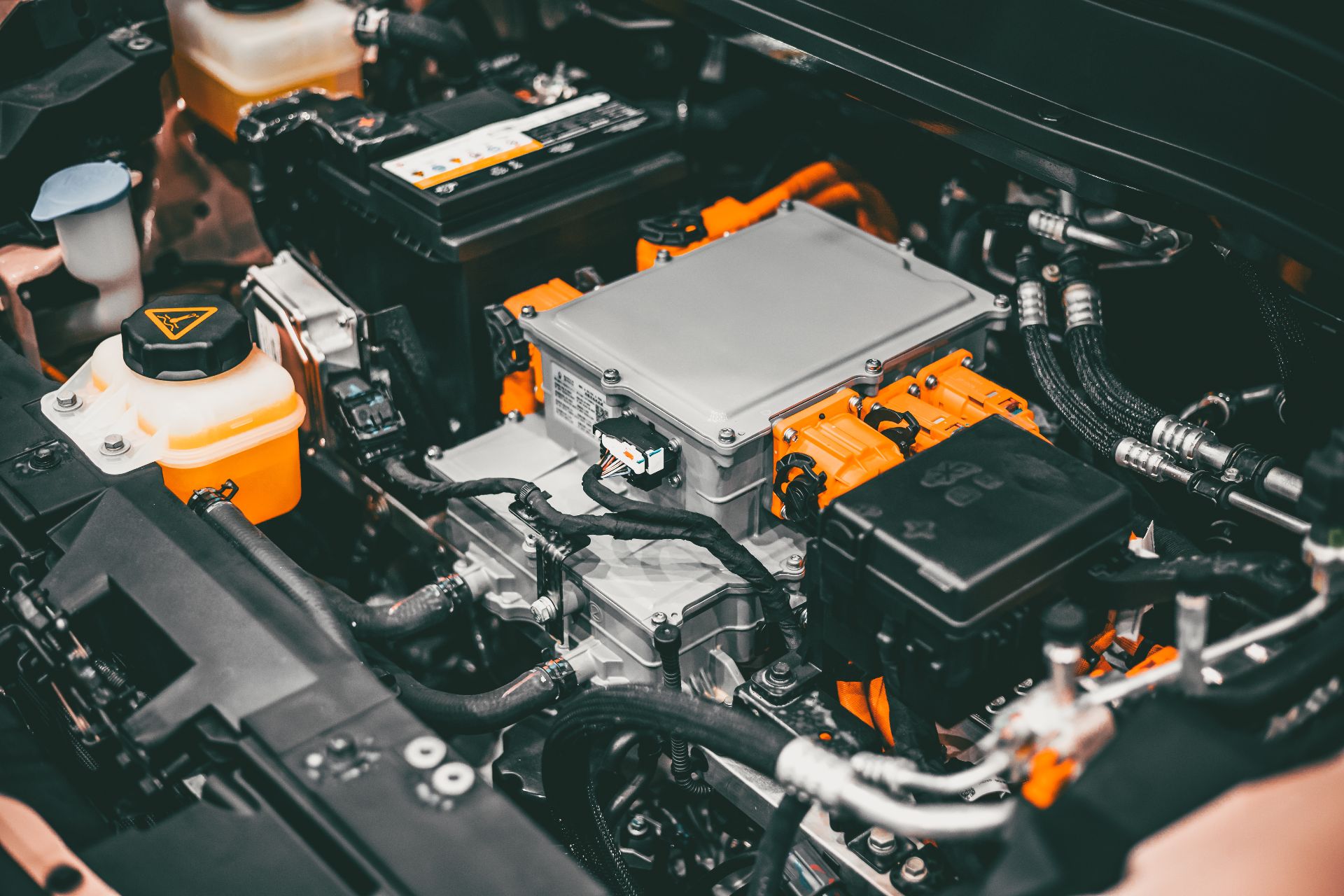 AdobeStock_551256607 (1).jpeg